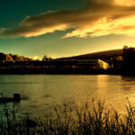 ??????????????????????