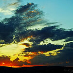 ??????????????????????