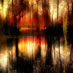 ??????????????????????