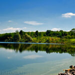 ??????????????????????