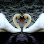 ??????????????????????