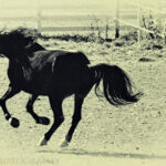 ??????????????????????