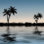 ??????????????????????