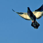 ??????????????????????