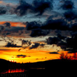 ??????????????????????