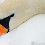 ??????????????????????