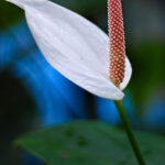 ??????????????????????